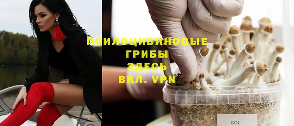 прущая мука Волоколамск