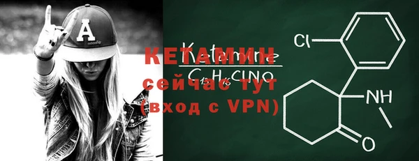 хмурый Верея
