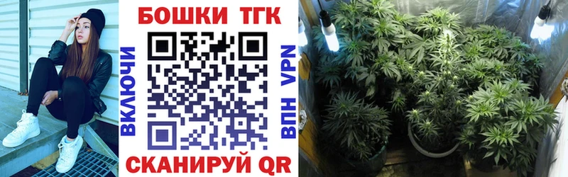 Канабис THC 21%  мега зеркало  Петров Вал 